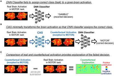 Counterfactual Explanation of Brain Activity Classifiers Using Image-To-Image Transfer by Generative Adversarial Network